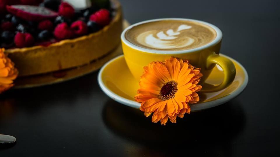 AeroCafe Hotel Partizánske Eksteriør billede